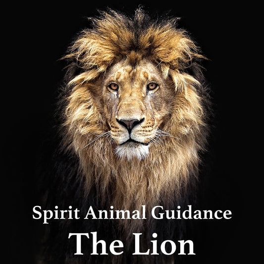 The Lion Spirit Animal: A Symbol of Strength and Courage