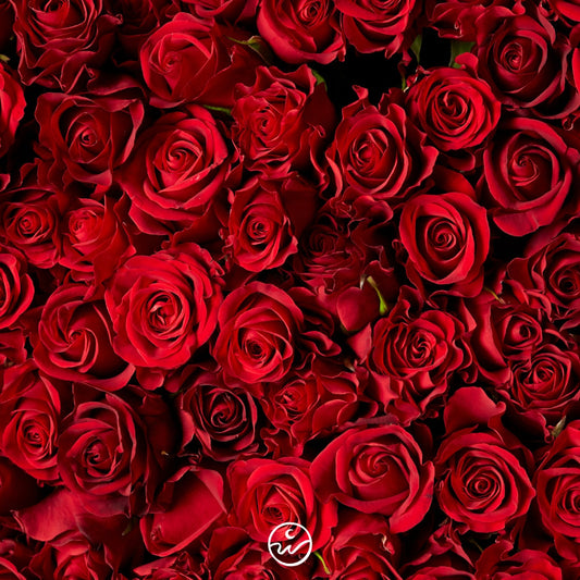 The Power of Fragrance in Gifting: How Scent Turns a Gift into a Beautiful Memory