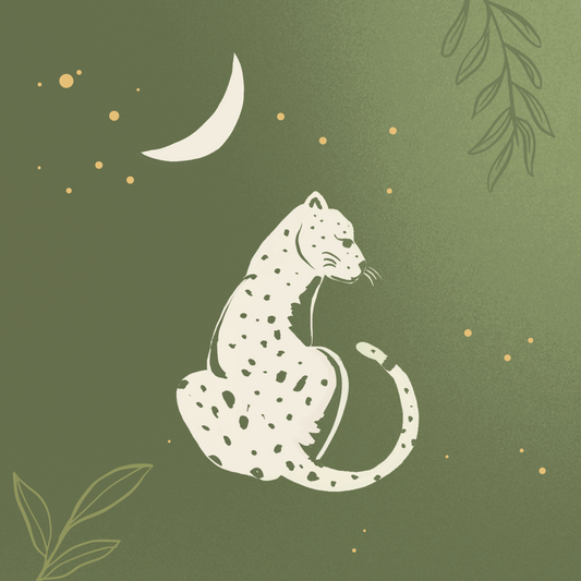 Jaguar Spirit Animal Guidance