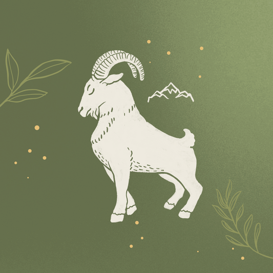 Mountain Goat Spirit Animal Guidance