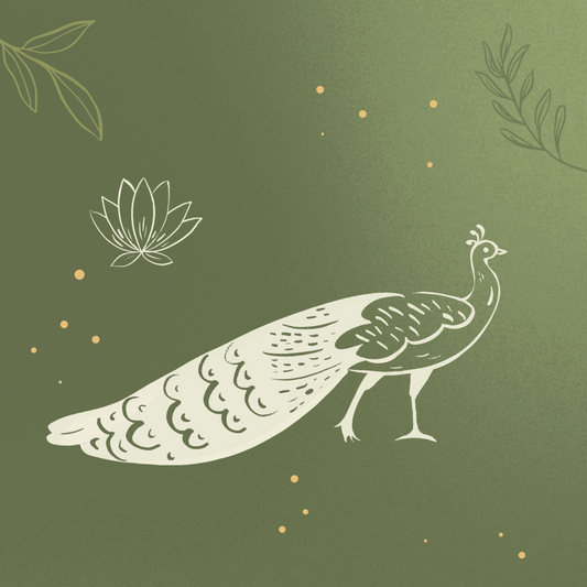 Peacock Spirit Animal Guidance