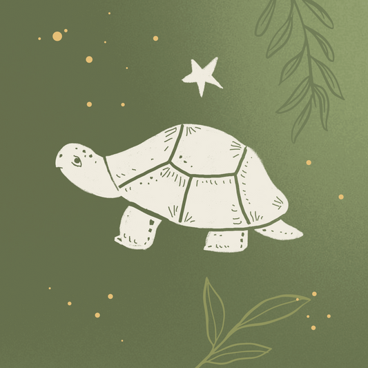Tortoise Spirit Animal Meaning: Patience, Longevity and Inner Wisdom