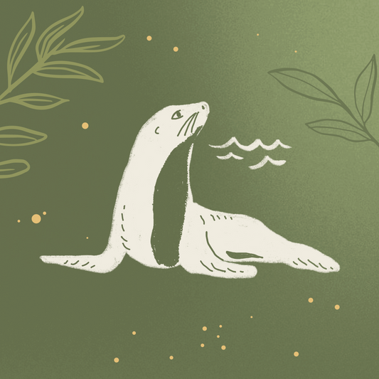 Seal Spirit Animal Meaning; Playfulness, Adaptability and Emotional Depth