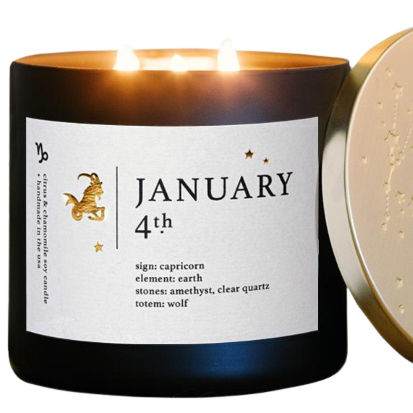 January Birthdate Zodiac Candles
