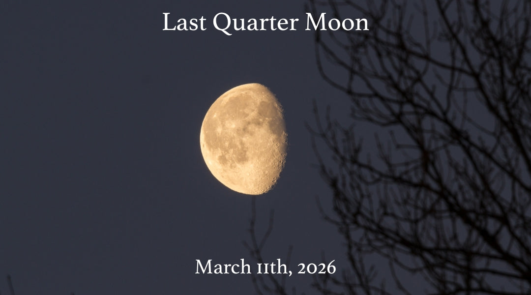 Weekly Astrology Forecast: March 8–14, 2026