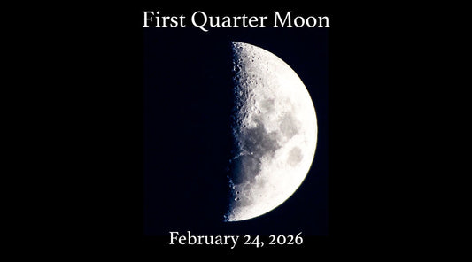 Weekly Horoscopes February 22–28, 2026