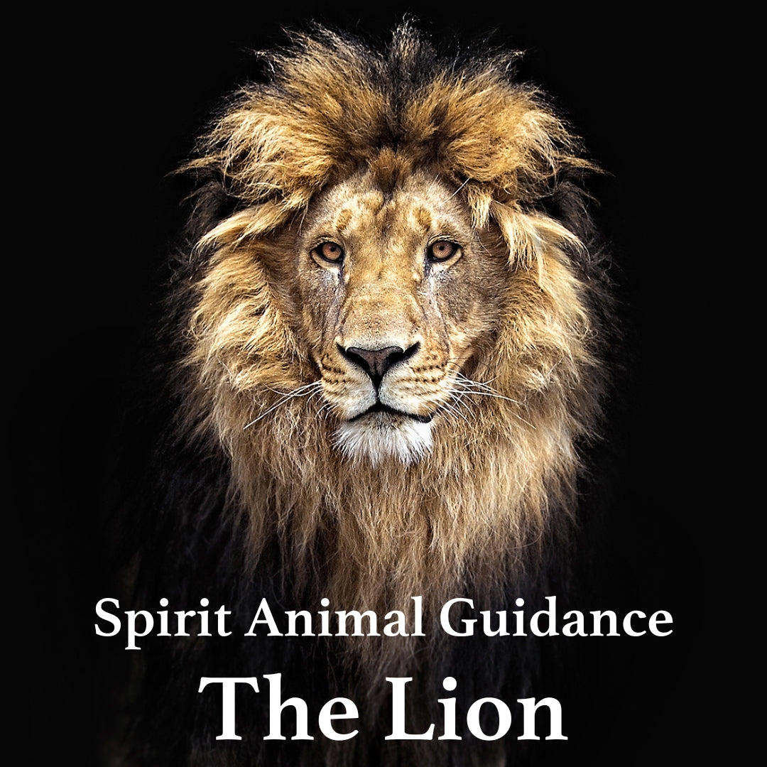 The Lion Spirit Animal: A Symbol of Strength and Courage