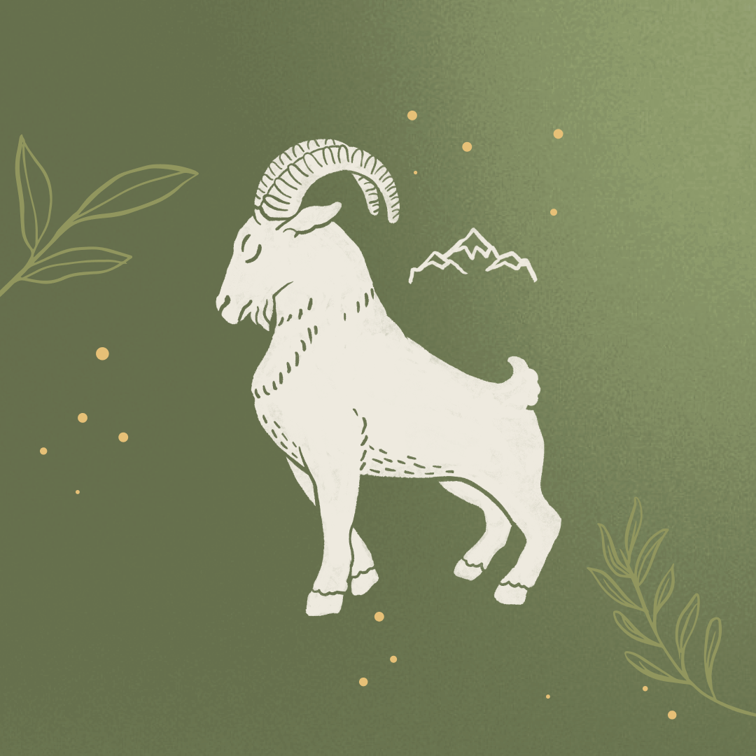 Mountain Goat Spirit Animal Guidance