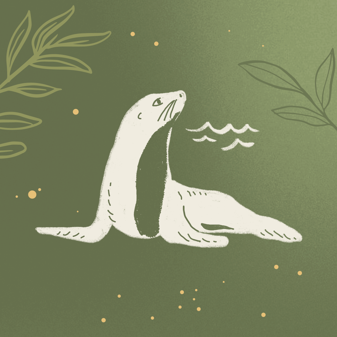 Seal Spirit Animal Meaning; Playfulness, Adaptability and Emotional Depth
