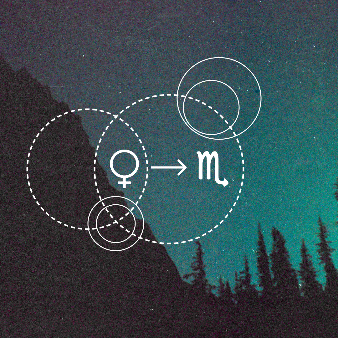 Vulnerability Is a Superpower | Venus Enters Scorpio
