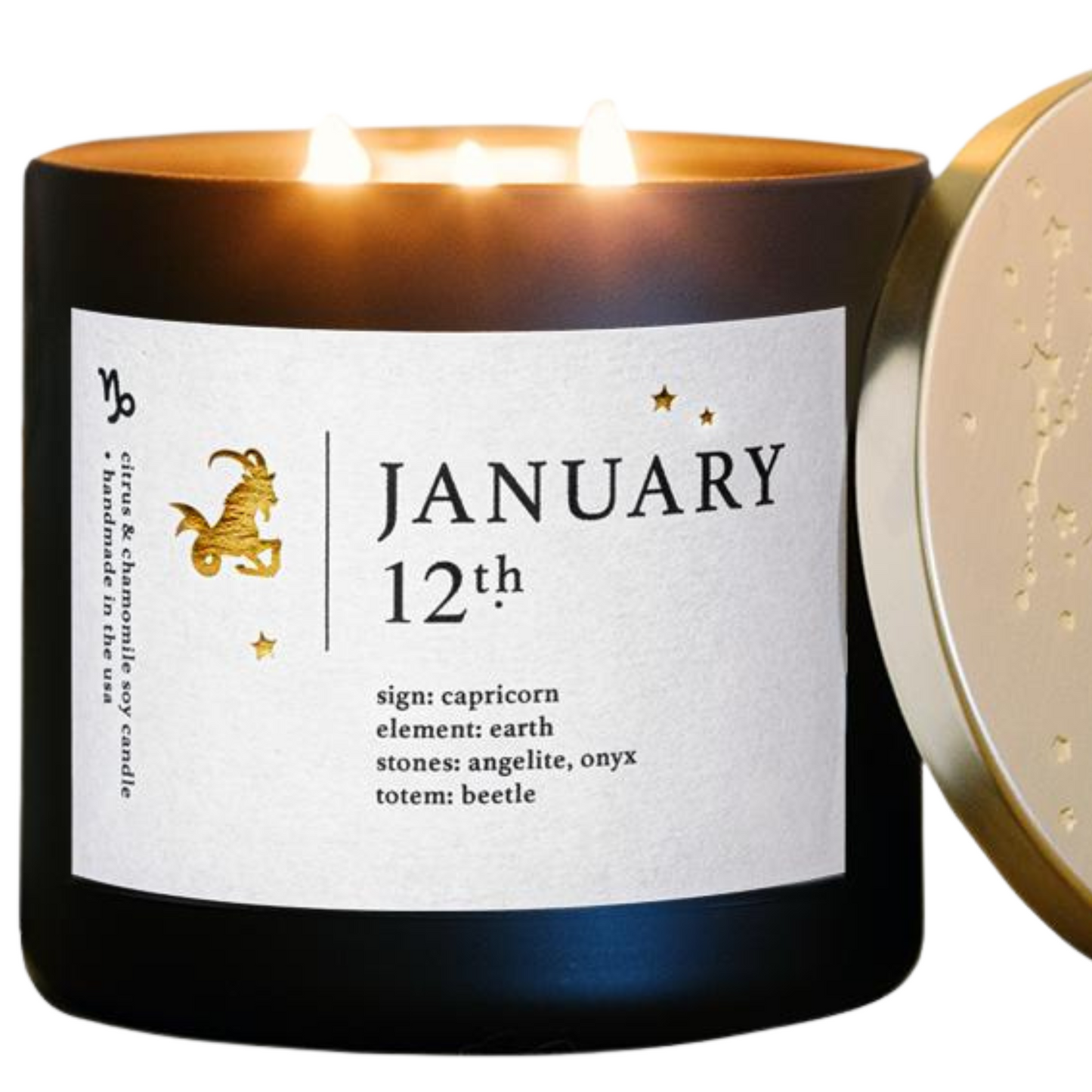 January Zodiac Birthday Candle