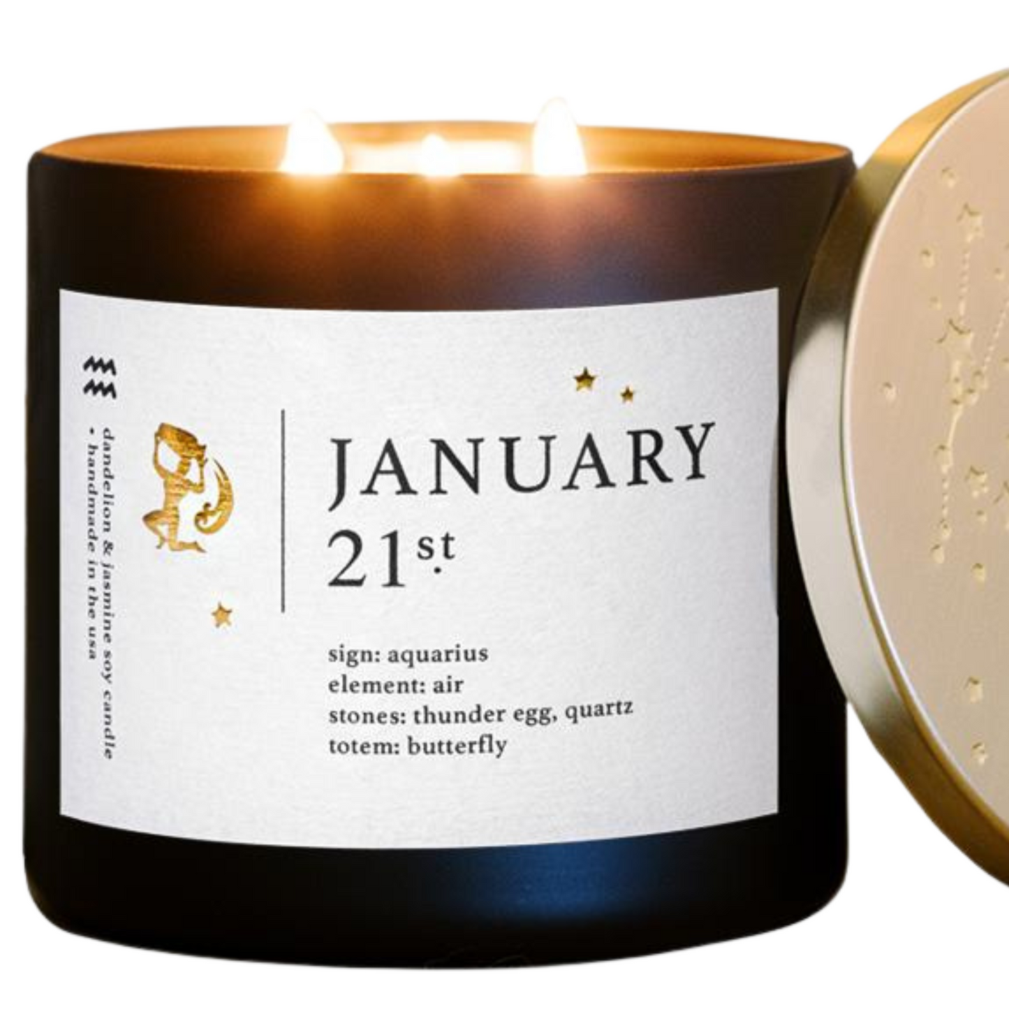 January Zodiac Birthday Candle