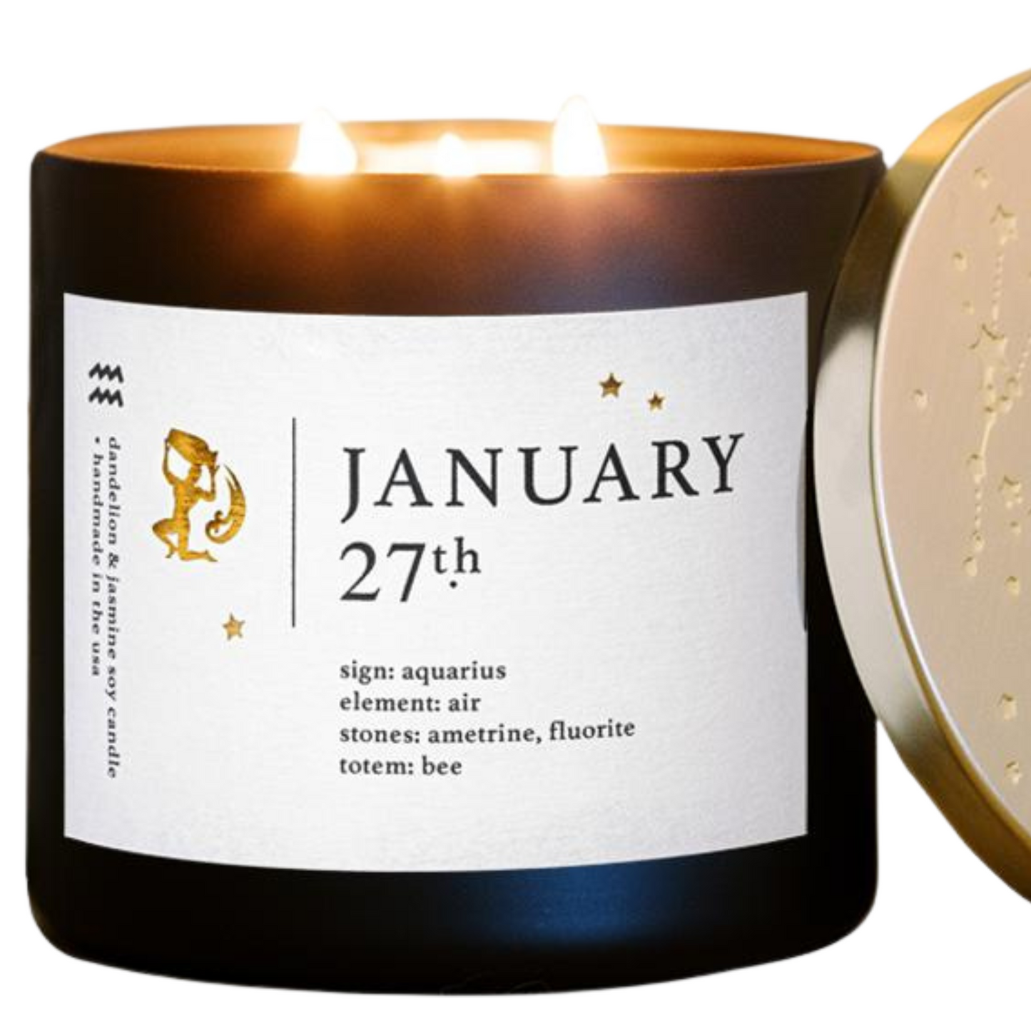 January Zodiac Birthday Candle