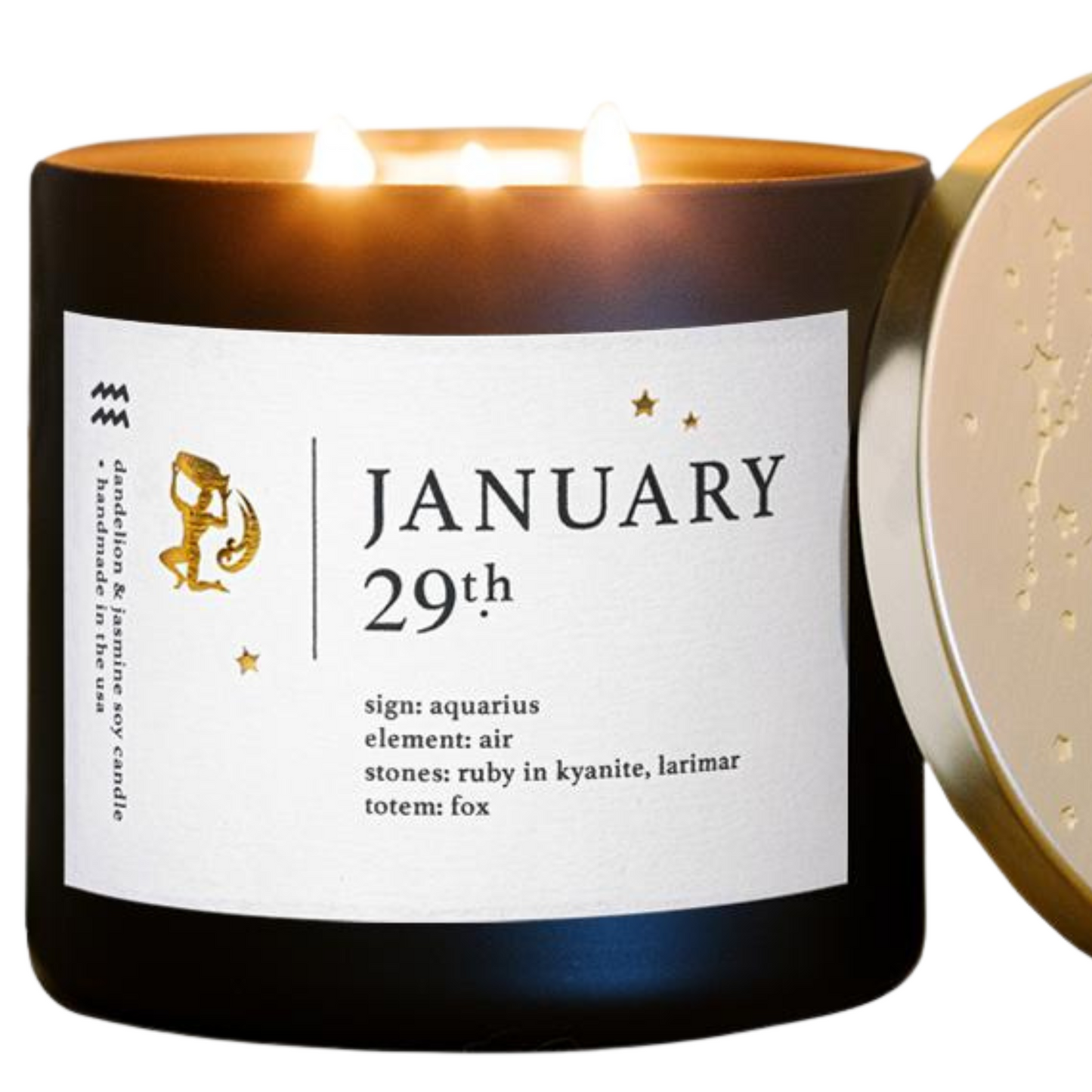 January Zodiac Birthday Candle