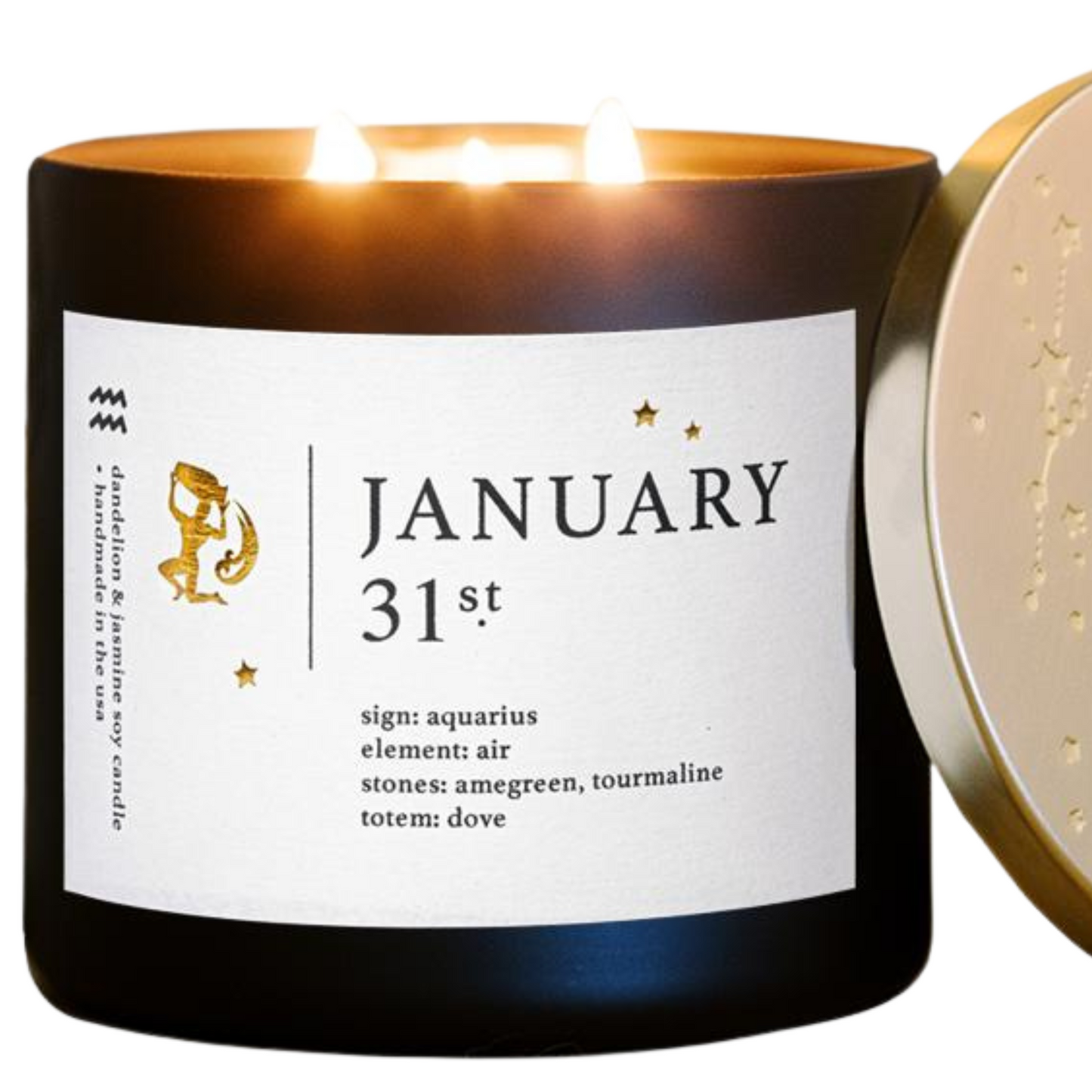 January Zodiac Birthday Candle