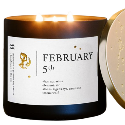 February Zodiac Birthday Candle